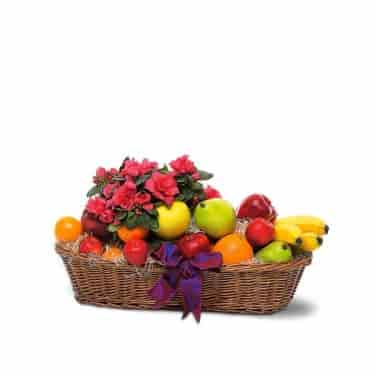 Fruits et plantes